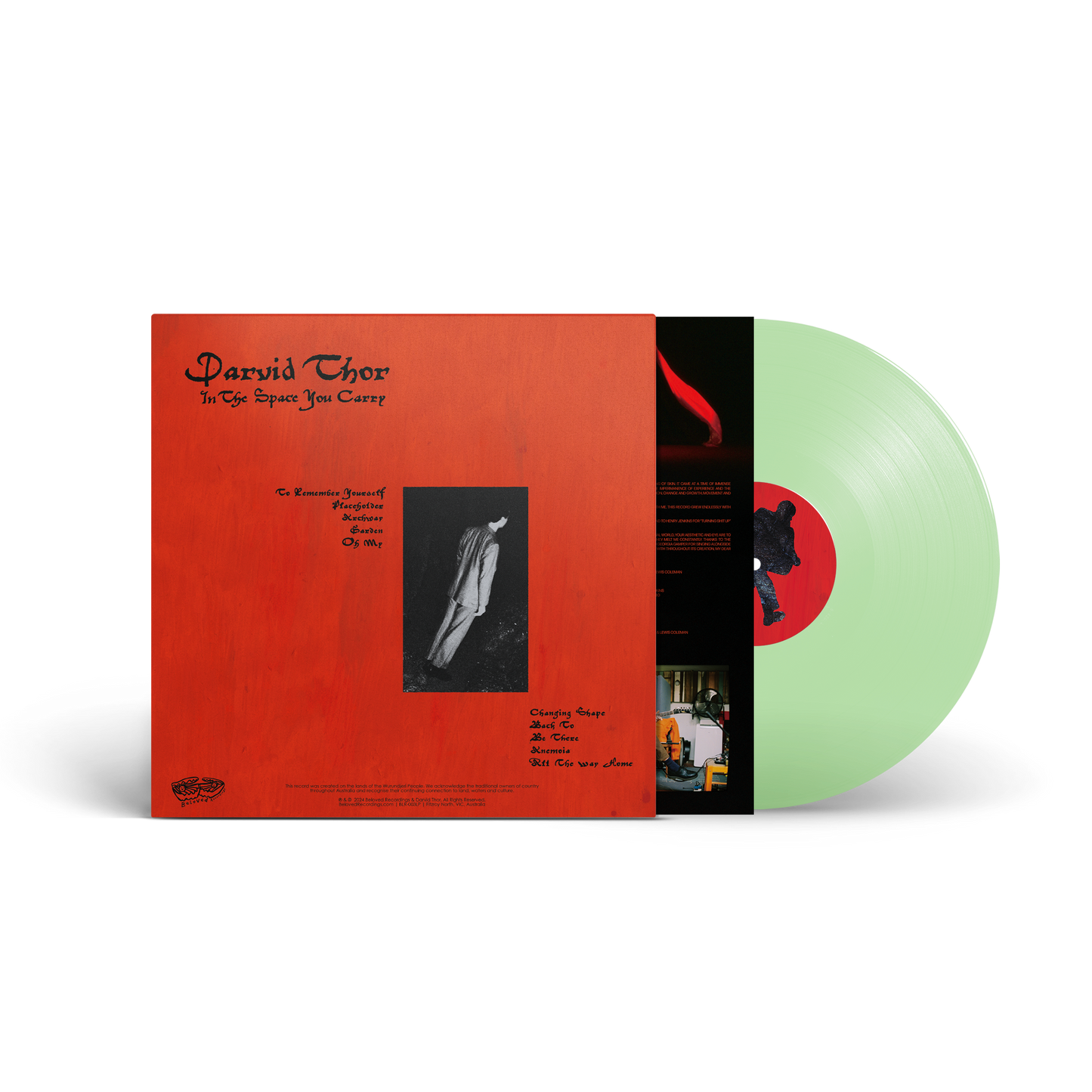 Darvid Thor - In The Space You Carry LP