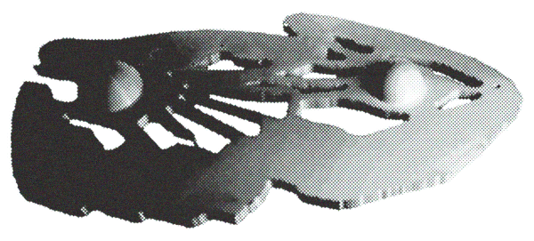 The logo for Beloved is an abstract 3D image of two clams facing each other with their shells ajar. A semi-spherical ball can be seen in the mouth of each clam, representing the pearl.