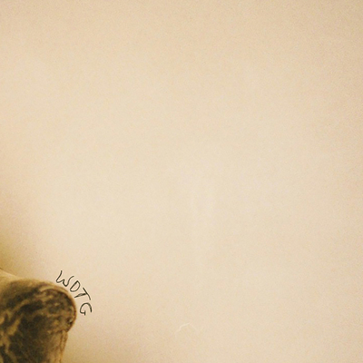 Album artwork for 'WDTG' by Darvid Thor.